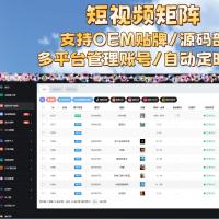 短视频矩阵系统代理贴牌源码多账号管理批量剪辑自动定时发布