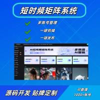 SEO矩阵系统：企业高效运营利器