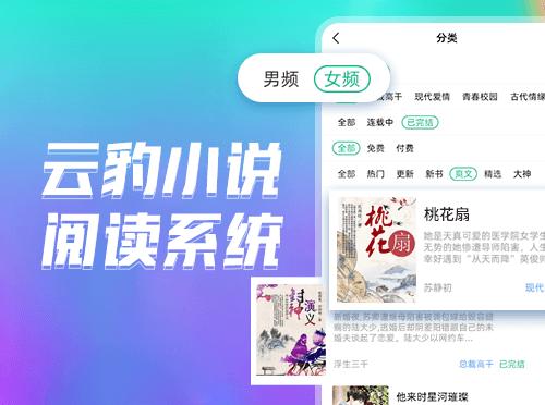 小说源码系统，阅读源码，小说软件开发