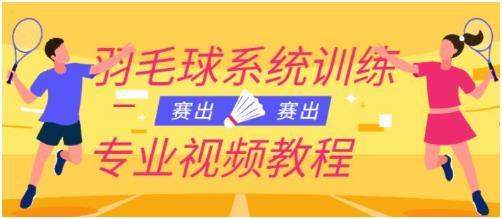 羽毛球教学视频《羽毛球系统训练专业视频教程》