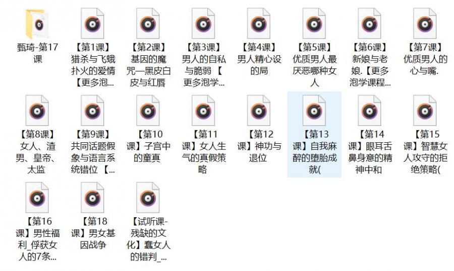 甄琦学长《成功男人的情感刚需》网盘下载