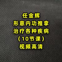 任金辉老师形意内功推拿各种疾病 高清视频教程10节课 医弘馆