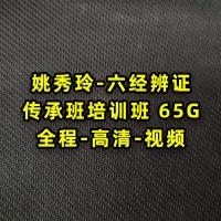姚秀玲六经辩证传承班全程视频讲座高清完整视频65G
