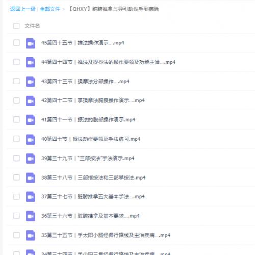 2020向勇脏腑推拿与导引助你手到病除中医腹部按摩基础到提高视频
