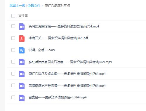 2020年李红兵老师疼痛对应点五节视频教程课+疼痛开关资料 医弘馆