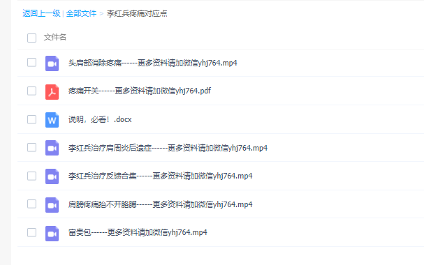 2020年李红兵老师疼痛对应点五节视频教程课+疼痛开关资料 医弘馆