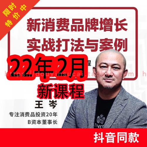2022抖音王岑课程消费王讲新消费品牌增长实战打法与案例王岑网程