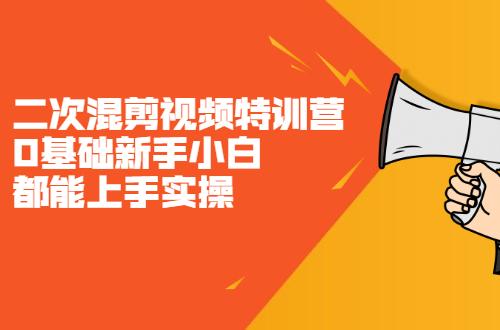 【视频混剪】二次混剪视频特训营，0基础新手小白都能上手实操[视频版]