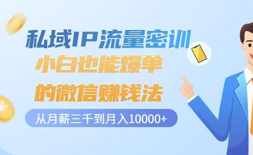 私域IP流量密训：小白也能爆单的微信赚钱法，从月薪三千到月入10000+